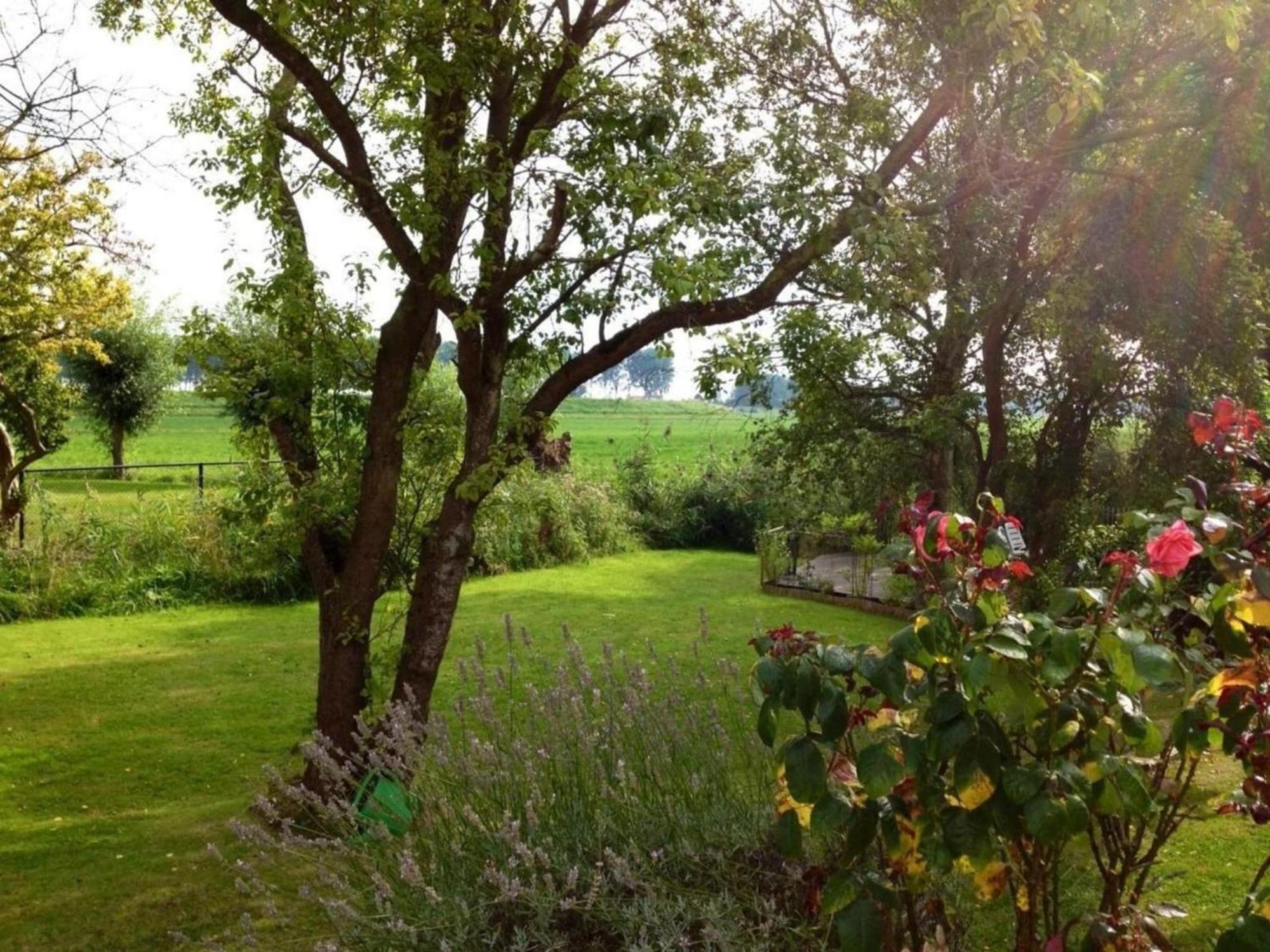 Attractive With Garden